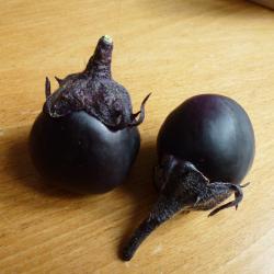 Aubergine »Kamo«