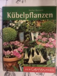 Kübelpflanzen 