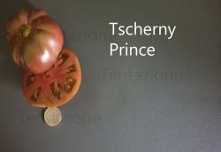 Tomate Tscherny Prince