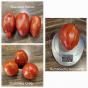 Tomate Pascal de Picardie