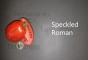 Tomate Speckled Roman