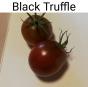 Tomaten Black Truffle