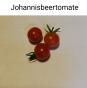 Tomaten Johannisbeertomate rot