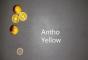 Tomate Antho Yellow